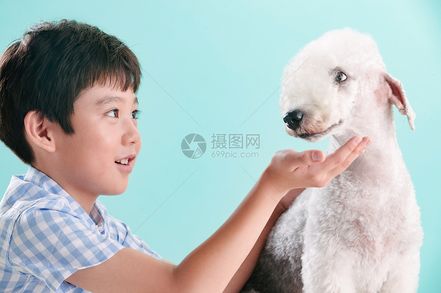 小男孩和宠物狗图片