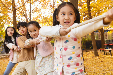 秋天树林中小学生在拔河比赛背景图片