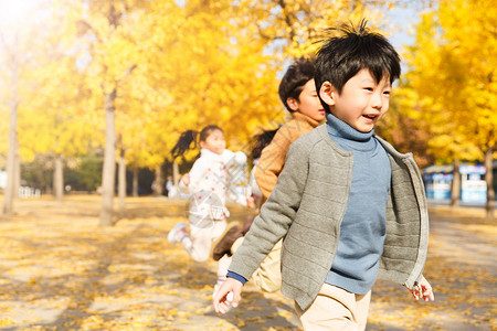 林中跑步秋天树林中男孩女孩在户外玩耍背景