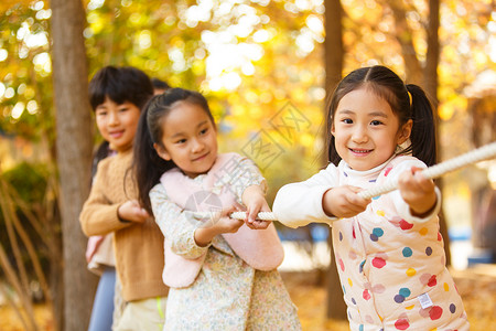 秋天树林中小学生在拔河比赛背景图片