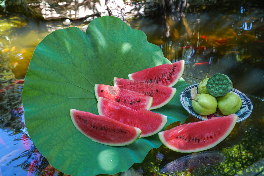 庭院池塘荷叶上的西瓜图片
