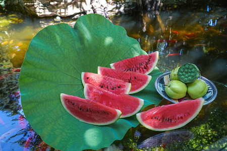 庭院池塘荷叶上的西瓜高清图片