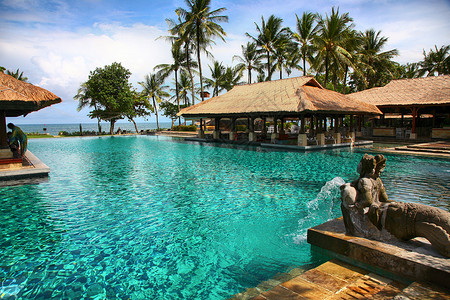 植物椰子树巴厘岛海边度假村背景