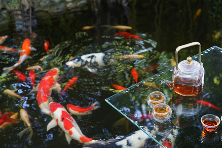 金鱼池塘上的荷叶茶具图片