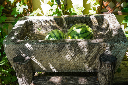 大水桶夏日解暑的西瓜背景