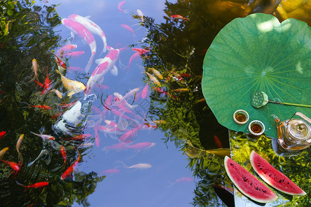 西瓜纹理金鱼池塘上的荷叶茶具西瓜背景