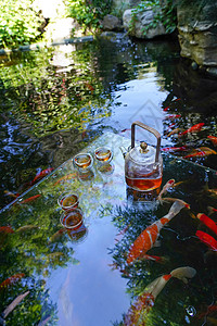 夏天池塘里的金鱼和茶杯图片