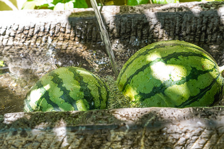 夏日解暑的西瓜高清图片