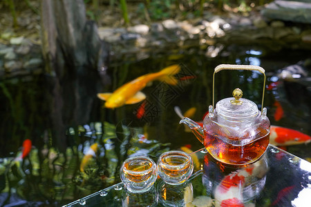 夏天池塘里的金鱼和水上的茶杯背景图片