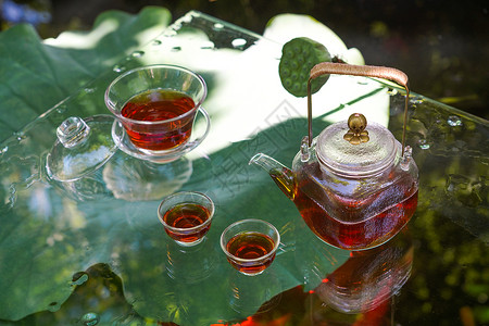 水上叶子夏天池塘里的金鱼和水上的茶杯茶叶背景