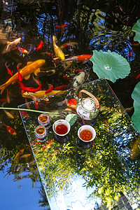 在下着雨时候酷暑时候的荷叶池塘和漂在水上的茶具背景