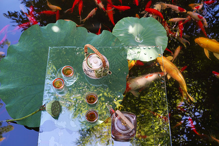 酷暑时候的荷叶池塘和漂在水上的茶具高清图片
