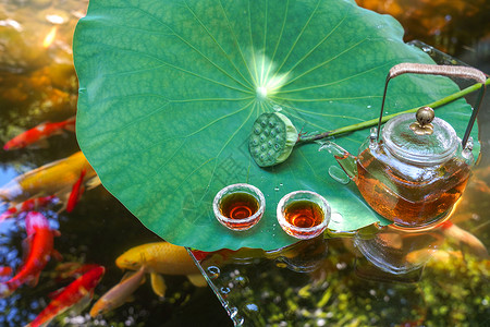 在下着雨时候酷暑时候的荷叶池塘和漂在水上的茶具背景