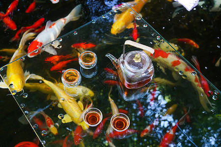 酷暑时候的荷叶池塘和漂在水上的茶具高清图片