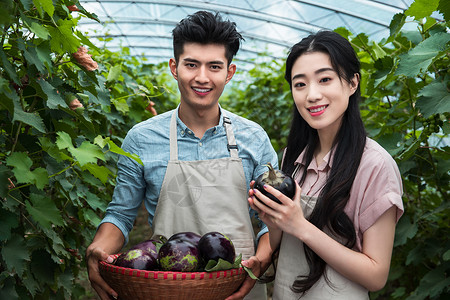 收获果实情侣夏天一起去采摘的年轻家庭夫妇背景