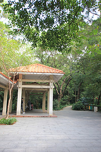 广州越秀公园背景图片