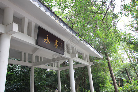 广州越秀公园背景图片