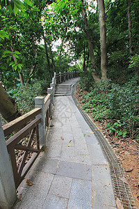心理活动特征广州越秀公园的美景背景