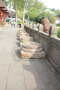 广州越秀公园的美景背景图片