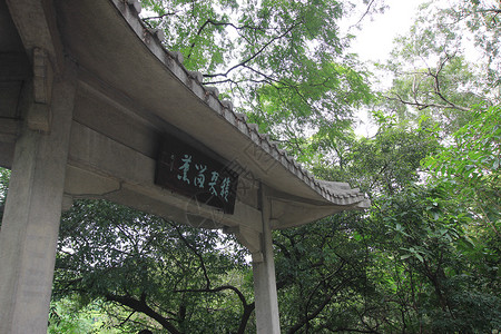 广州越秀公园的美景背景图片
