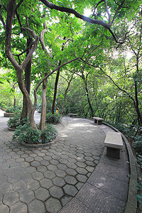 广州越秀公园的美景图片