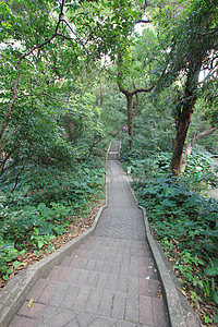 广州越秀公园图片