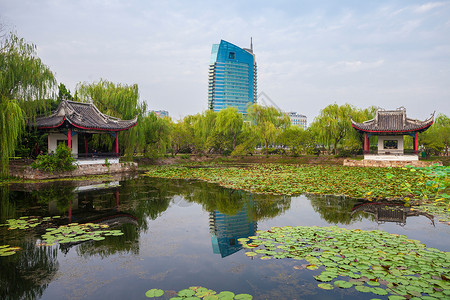 太湖桥江苏省无锡蠡园背景