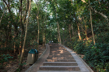 广东省深圳城市建筑图片