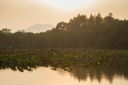水户外东亚浙江省杭州西湖图片