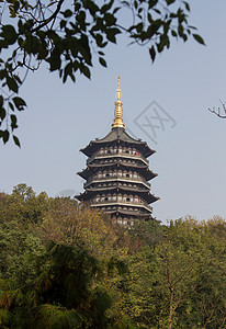 亚洲高塔日光树林风景浙江省杭州西湖雷峰塔背景