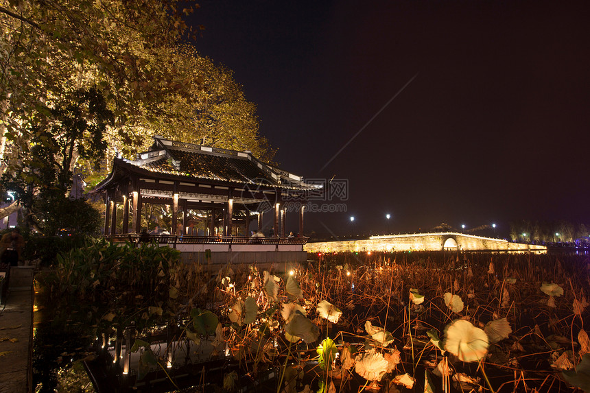 旅游目的地当地著名景点浙江省杭州西湖夜景图片