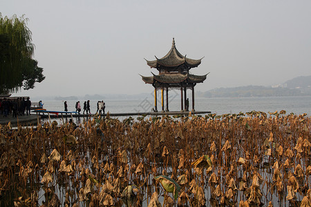 杭州秋景建筑外部浙江省杭州西湖背景