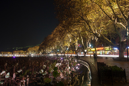 浙江省杭州西湖夜景背景图片