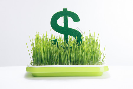投资环境青草与美元符号背景