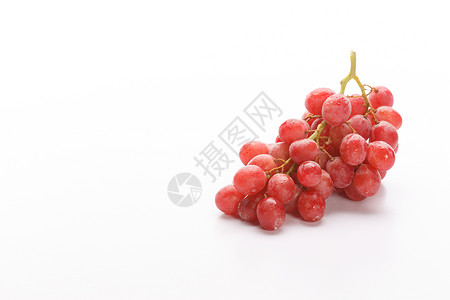 白色背景下的新鲜水果创意拍摄背景图片