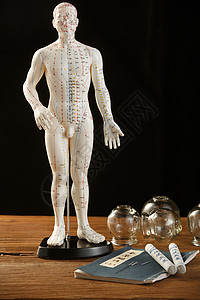 解剖医学的人体解剖学拔罐解剖模型医学用具背景