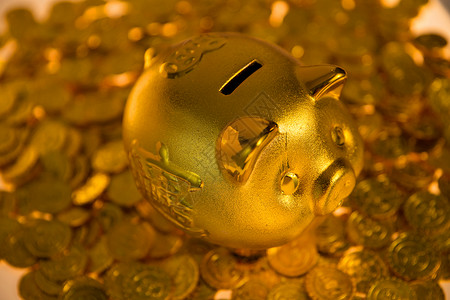 抱着金子的猪希望财富文化金币和存钱罐背景