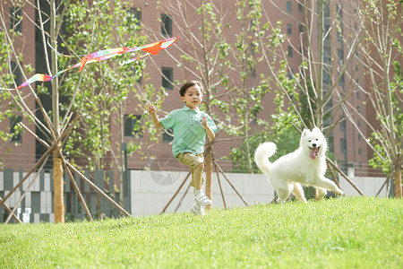 小男孩放风筝小男孩在户外玩耍背景