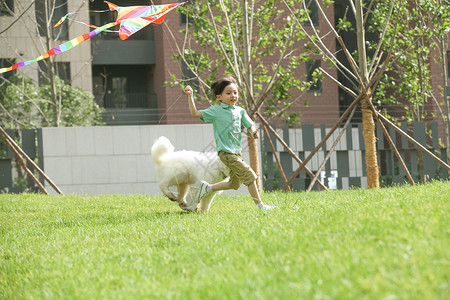 小男孩牵着小狗小男孩在户外玩耍背景