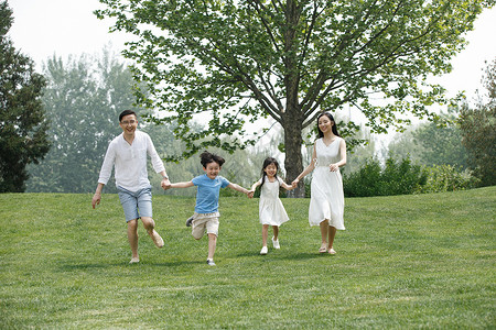 青年伴侣两个孩子的家庭自然快乐家庭在草地上奔跑图片