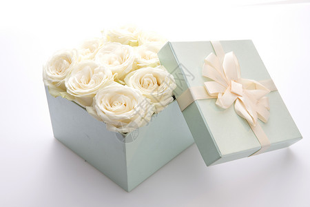 白色礼品盒静物无人高雅玫瑰花背景