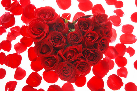 漂亮的红色爱心花卉玫瑰花背景
