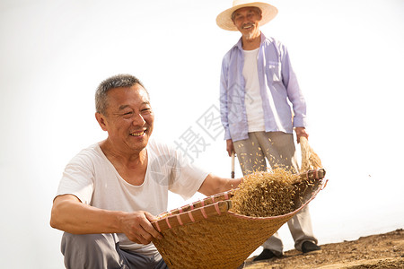 干农活的人老农民在干农活背景