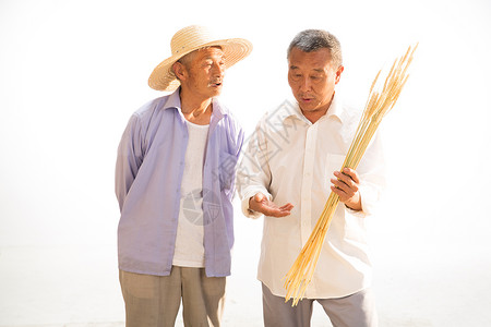 快乐农民两位老农民拿着麦穗背景