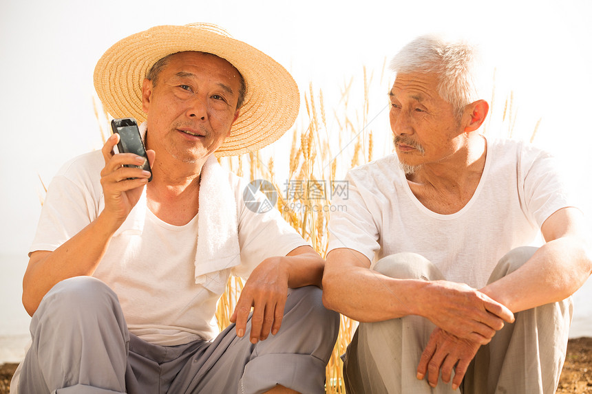 两位老农民坐在麦田里图片