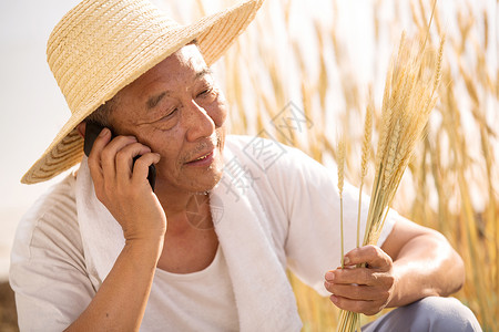 农村老农民在农田里打电话图片