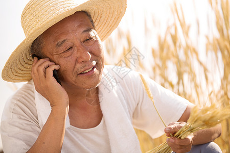 自信老农民在农田里打电话图片