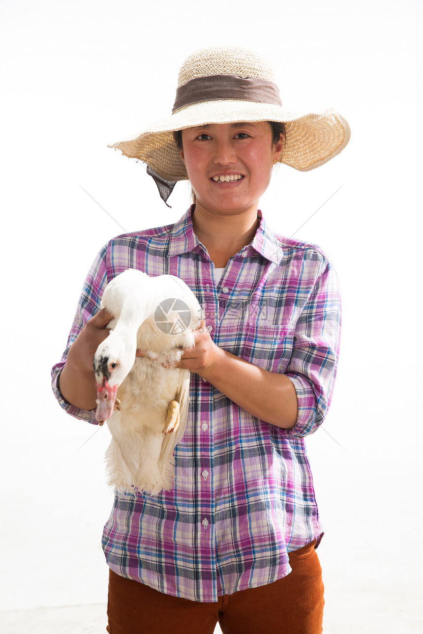 中年人农民拿着鸭子图片