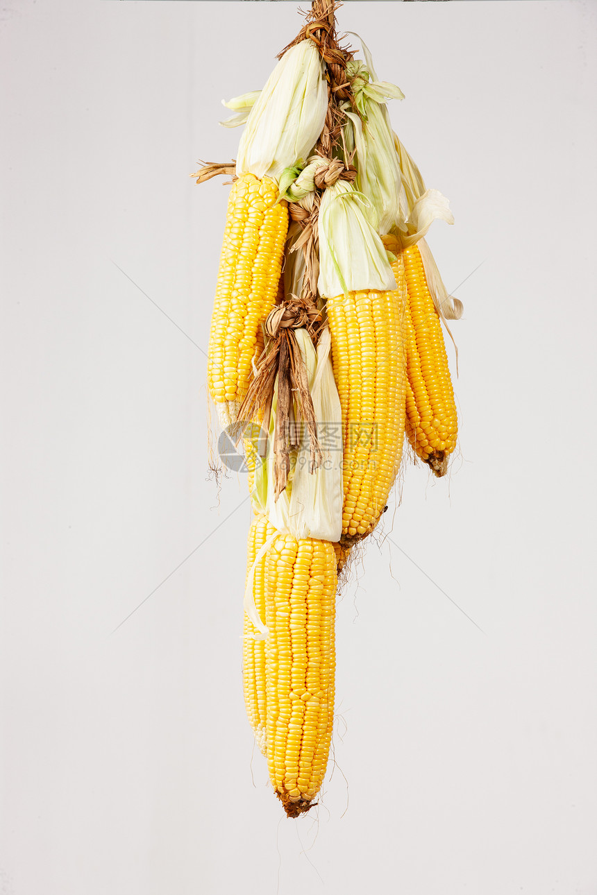 悬挂的玉米图片