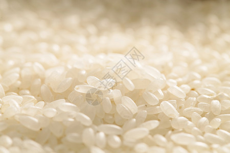 饱满米粒粮食健康品质保障大米背景
